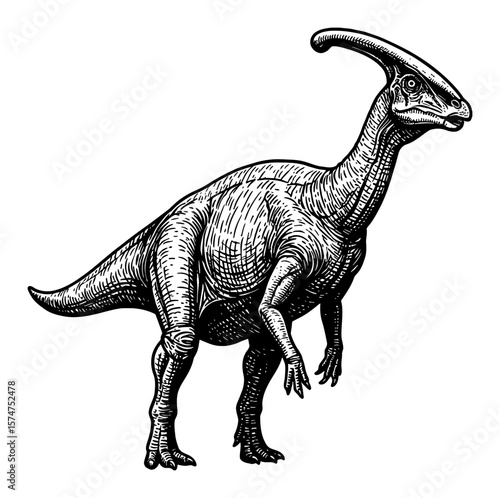 Parasaurolophus Full Body Shot Ancient Creature Side View Black and White Outline Line Art Drawing Vintage Engraved Illustration