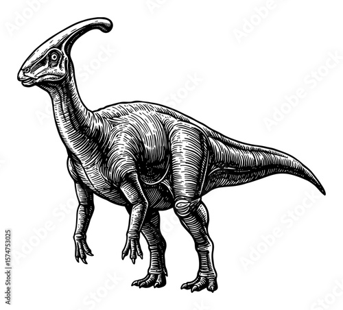 Parasaurolophus Full Body Shot in Detailed Black and White Outline Line Art Drawing Ancient Reptile