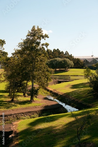 Puhinui Domain Park in Auckland on a Beautiful Sunny Day