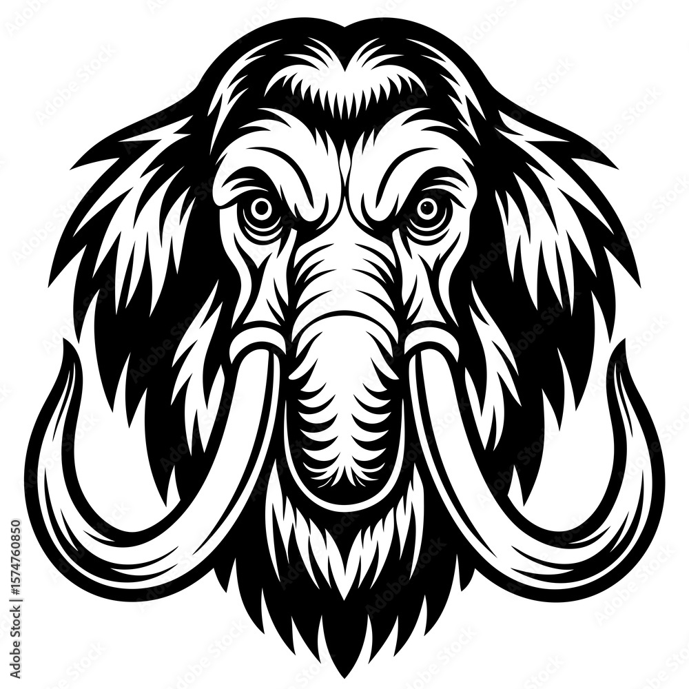 Fototapeta premium lion head vector