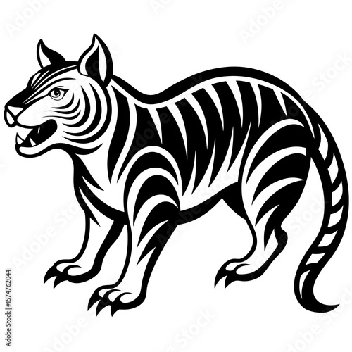 zebra vector illustration