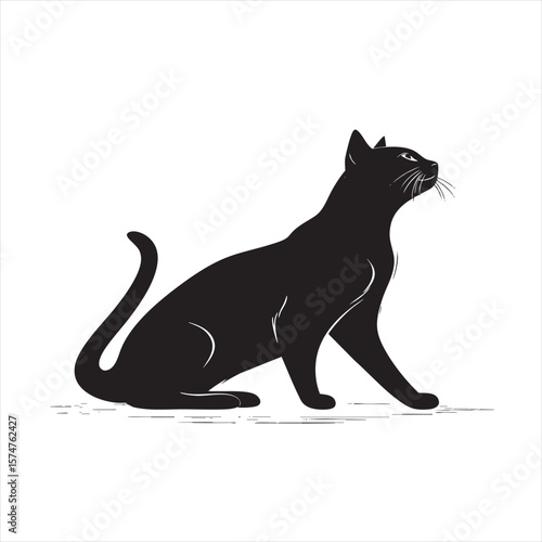 Elegant Black Cat Silhouette Looking Up