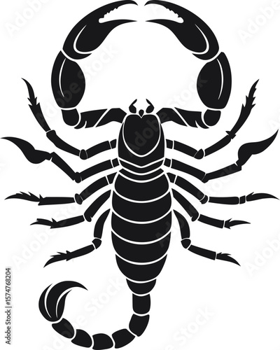 Graphic scorpion  vector illustration for tattoo and print.
