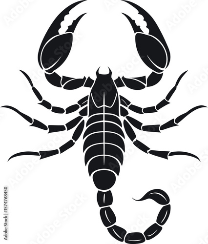 Graphic scorpion  vector illustration for tattoo and print.