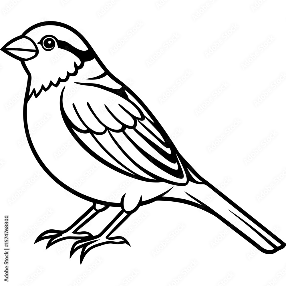 Fototapeta premium Majestic Sparrow Silhouette