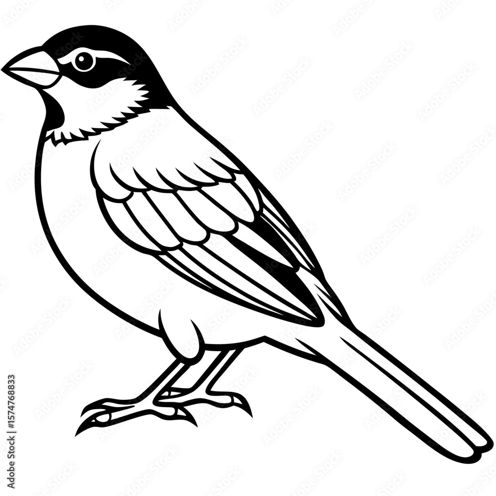 Obraz premium Majestic Sparrow Silhouette