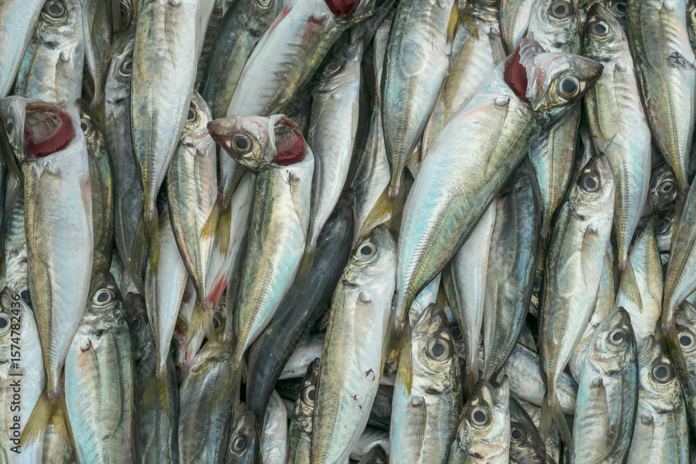 Obraz premium fresh fish on the market