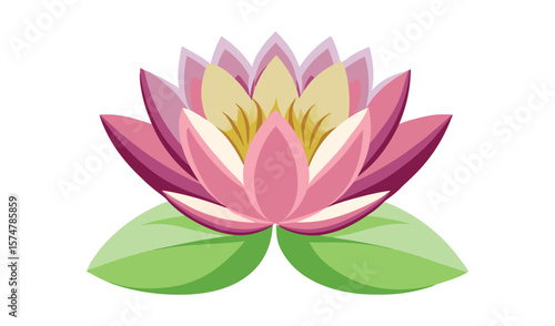 Pink water lily flower with green leaves illustration