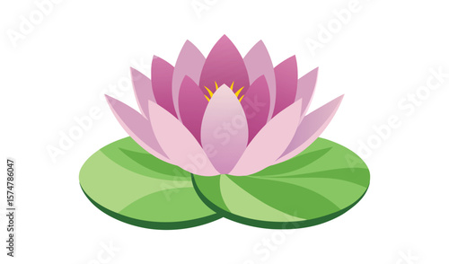 Pink water lily flower with green pads