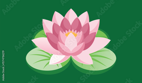 Pink water lily flower on green lily pads