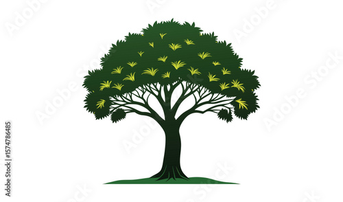 A vibrant green tree with abundant foliage, isolated on white, embodies nature's summer growth