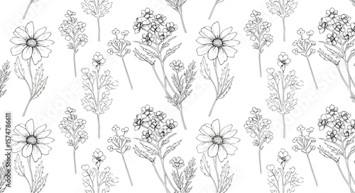 Floral pattern with various hand-drawn flowers on white background  