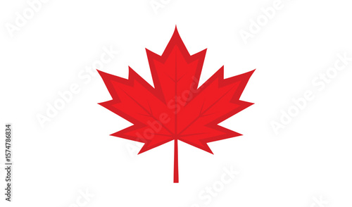 Single red maple leaf simple design illustration
