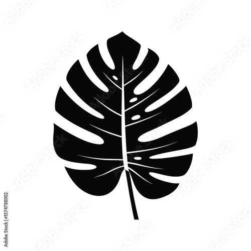 Black and white Monstera deliciosa leaf silhouette tropical plant illustration botanical print  simple design element