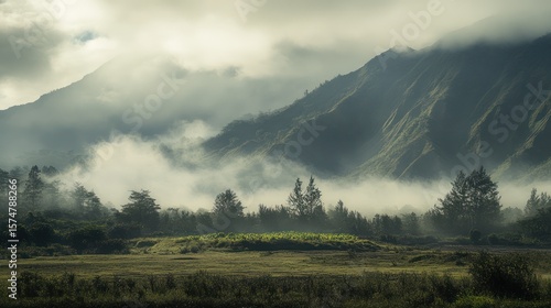Mountains shrouded in mist, calm landscape background. Outdoor travel