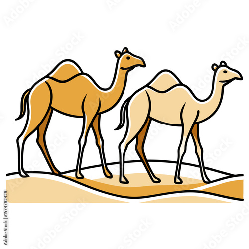 camel in desert