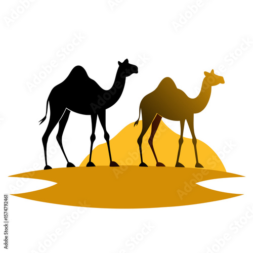 camel in desert