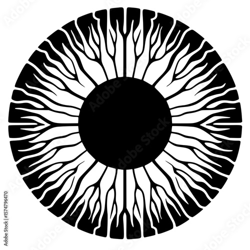 Silhouette of the retina of the eye