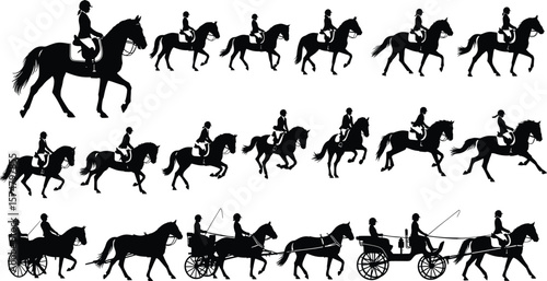 Diverse horse and rider silhouettes, various equestrian disciplines, galloping, trotting, cantering, carriage, stable life, outdoor sport, animal.