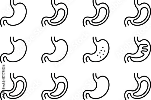 Vector Stomach Icons:  Medical, Outline, Simple, Clean, Graphic Design Set
