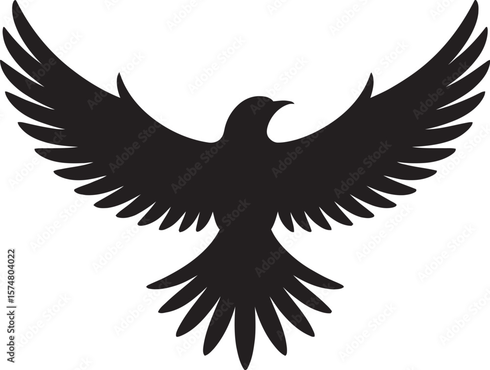 Obraz premium eagle with wings