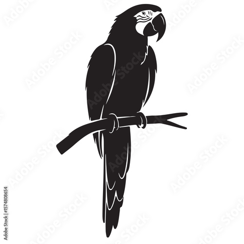 Black macaw parrot perched on branch vector illustration