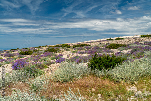 Billede på lærred Hiking routes on the Pag Island in Croatia.