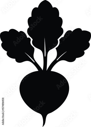 Vector design fresh kohlrabi silhouette for modern