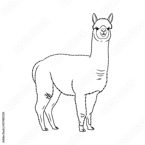 Expansive Alpaca Ancient Aura Realm - Alpaca vector - Alpaca Line art - Alpaca Drawing - Vector Lineart of Alpaca - Alpaca icon - its iconic creature enduring essence


