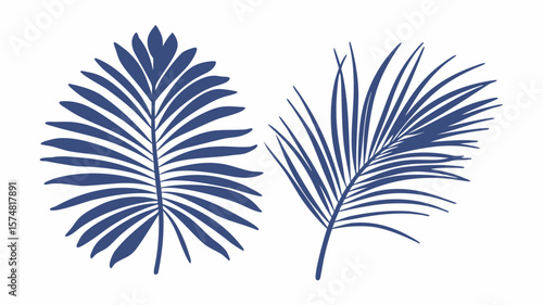 Tropical palm leaves.Set of black handdrawn silhouettes isolated on white background.Perfect for cards, web, backgrounds and natural product.Raster version.Clipart

