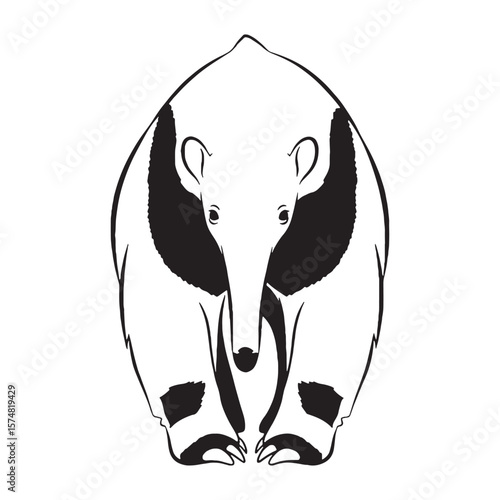 Expansive Anteater Ancient Aura Realm - Anteater vector - Anteater Line art - Anteater Drawing - Vector Lineart of Anteater - Anteater icon - its iconic creature enduring essence

