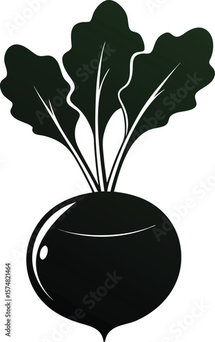 Vector design fresh kohlrabi silhouette for modern