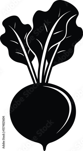 Vector design fresh kohlrabi silhouette for modern