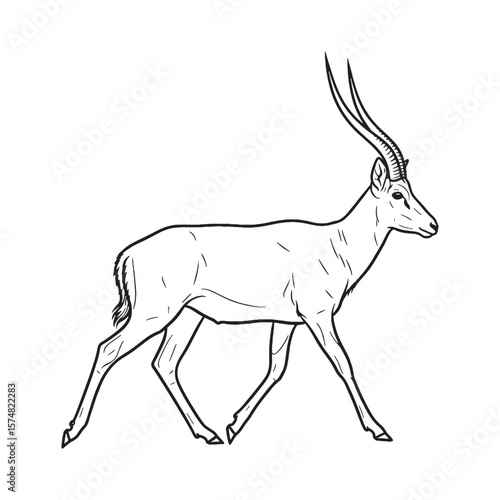 Deepest Antelope Resilience Capacity - Antelope vector - Antelope Line art - Antelope Drawing - Vector Lineart of Antelope - Antelope icon - its enduring hardy unchanging soul

