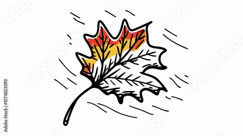 Autumn leaf illustration
