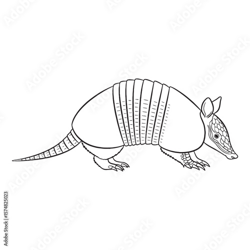 Authentic Armadillo Hidden Identity Glimpse - Armadillo vector - Armadillo Line art - Armadillo Drawing - Vector Lineart of Armadillo - Armadillo icon - its fundamental digging animal spirit

