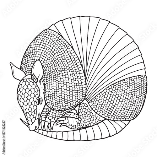 Protective Armadillo Plate Structure Truth - Armadillo vector - Armadillo Line art - Armadillo Drawing - Vector Lineart of Armadillo - Armadillo icon - a timeless peculiar armored symbol

