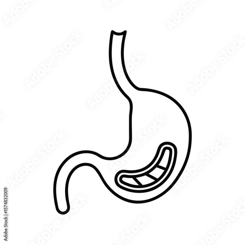 vector illustration of an abstract human esophagus