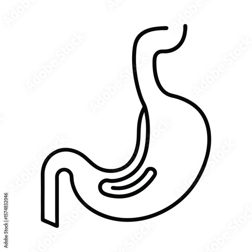 vector illustration of a human esophagus