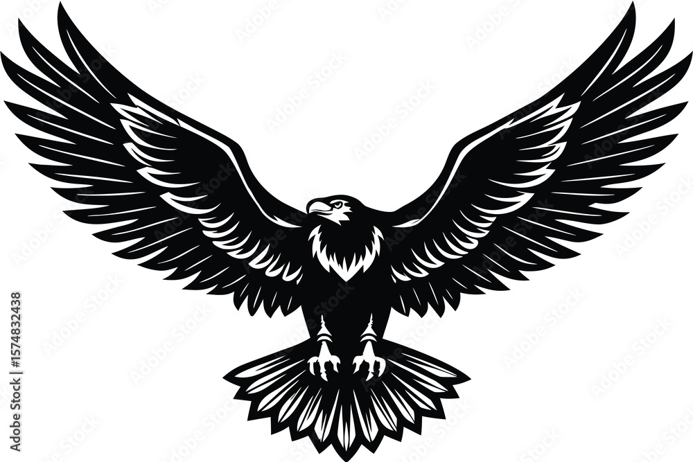 Obraz premium eagle in the form of an eagle