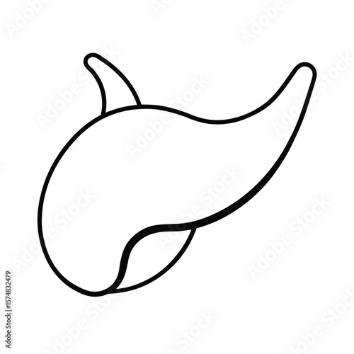 vector illustration of a gallbladder 