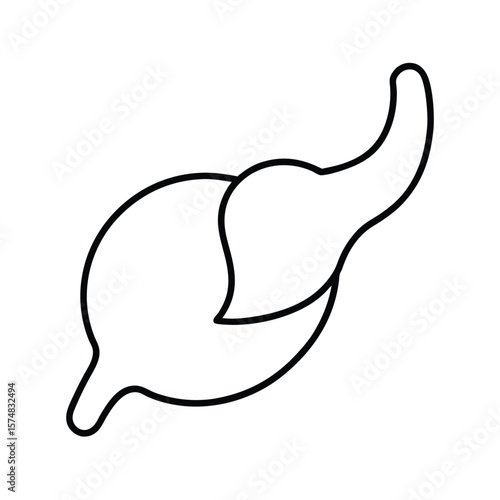 gallbladder icon