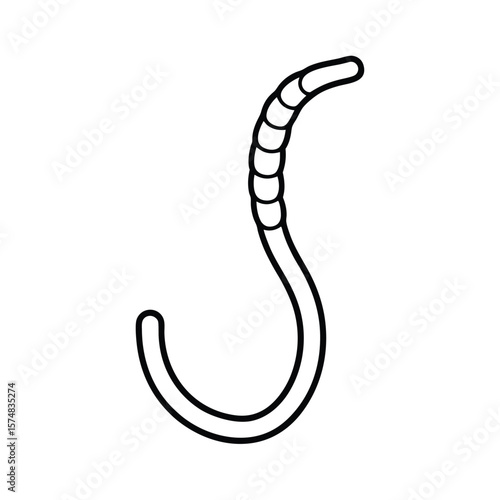 vector illustration of a trachea