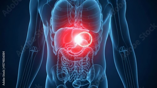 A human body scan shows spleen inflammation and pain in the abdominal region