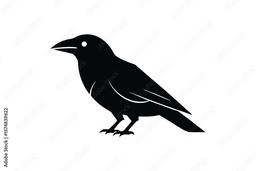 Fototapeta premium crow on a white background
