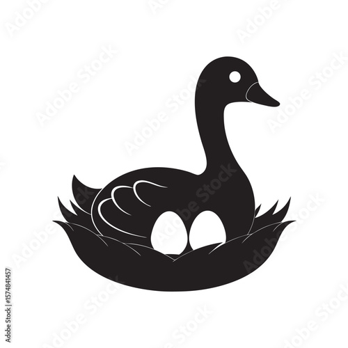 Goose Sitting On Nest With Eggs