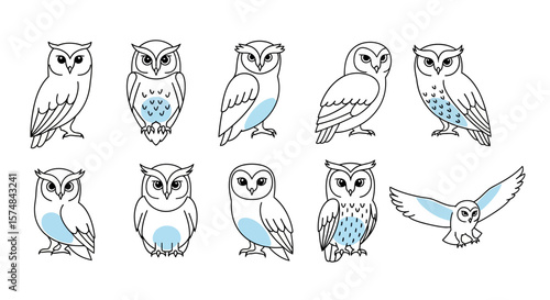 Cute Outline Owls with Light Blue Accents Various Poses.
