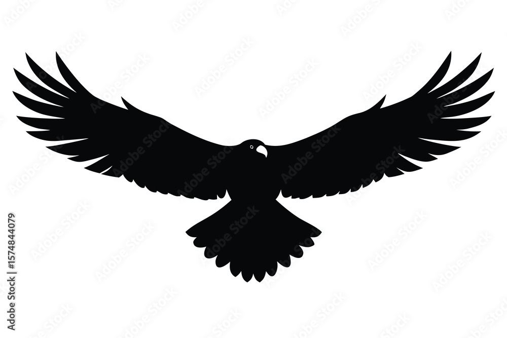 Obraz premium eagle in flight