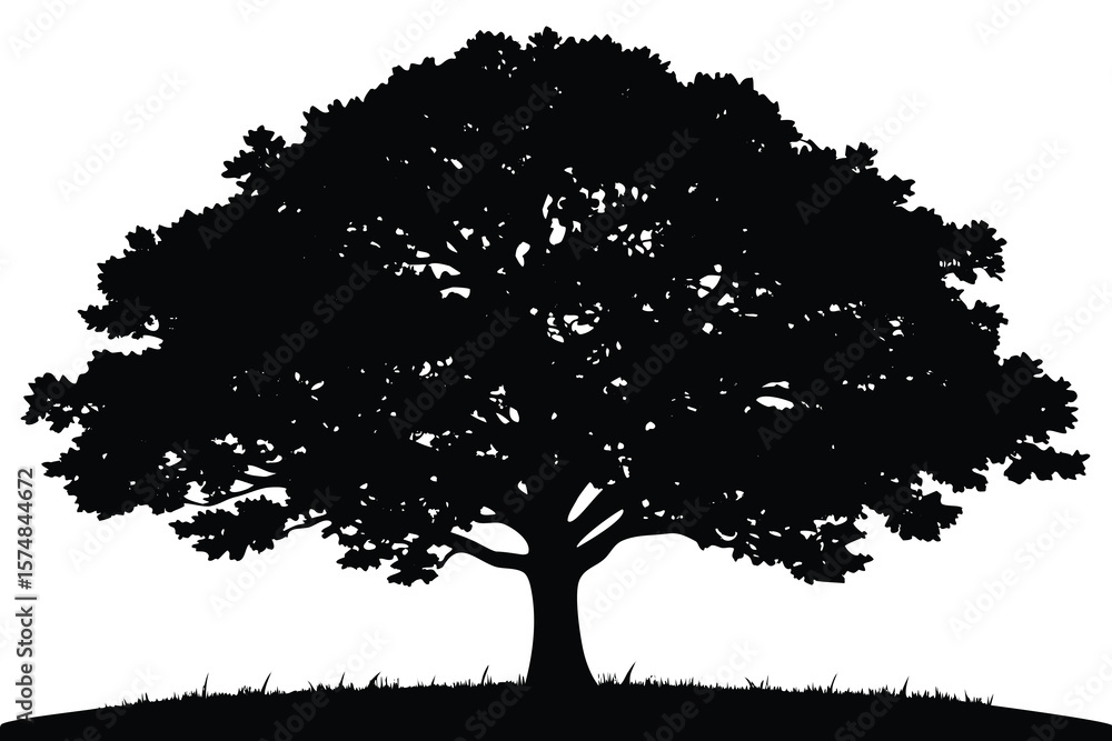 Fototapeta premium tree silhouette vector