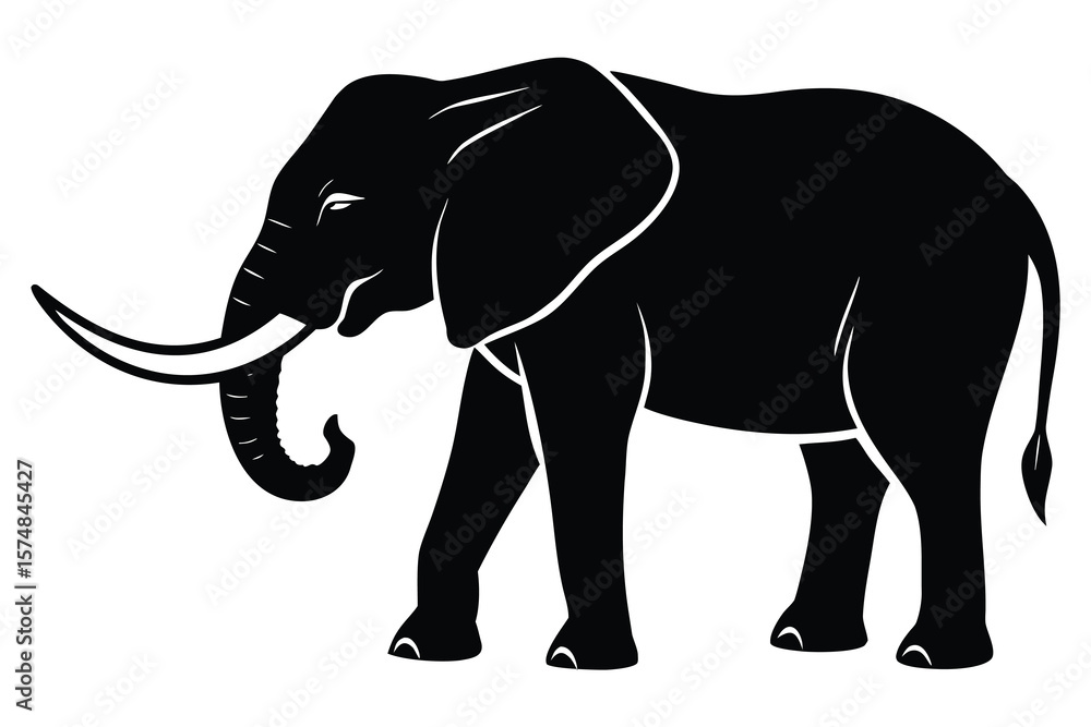 Fototapeta premium elephant vector illustration